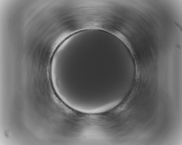 X0000102530958200808291817