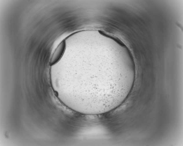 X0000102530960200808291817