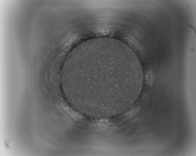 X0000102530961200808291816