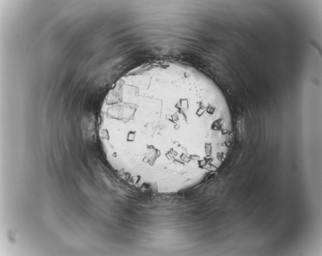 X0000102530963200808291816