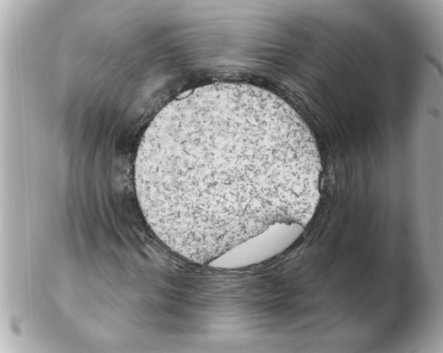 X0000102530964200808291816