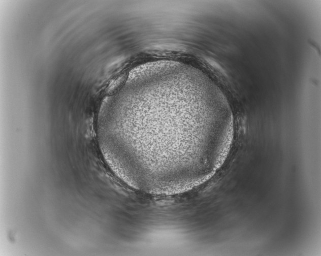 X0000102530965200808291816