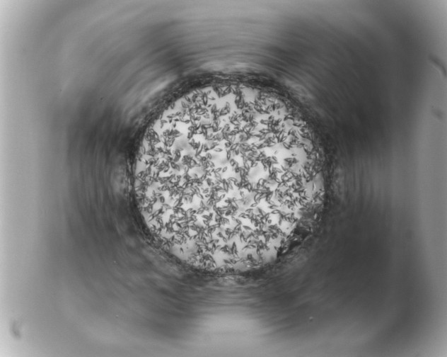 X0000102530966200808291816