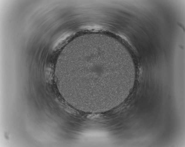 X0000102530967200808291816