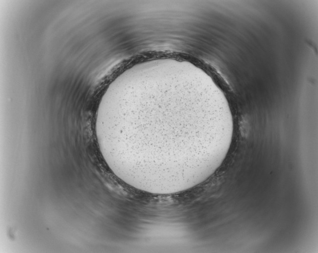 X0000102530968200808291816