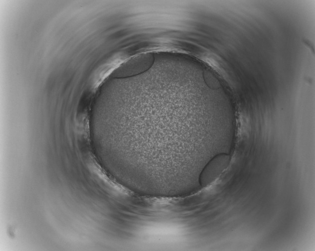 X0000102530969200808291816