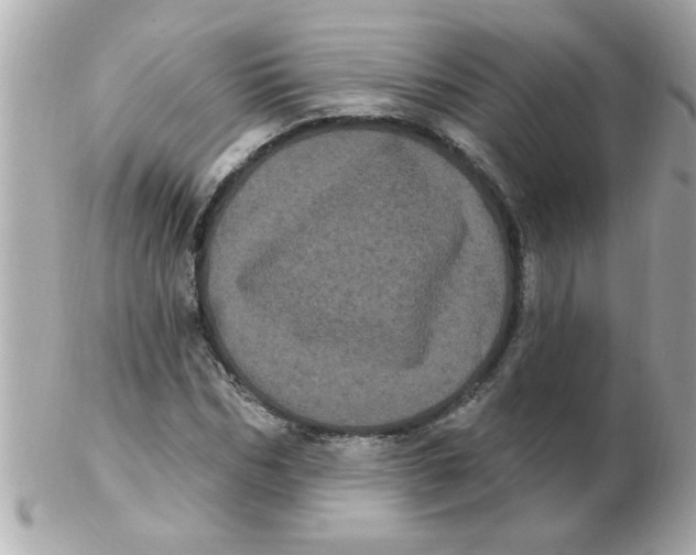 X0000102530970200808291816