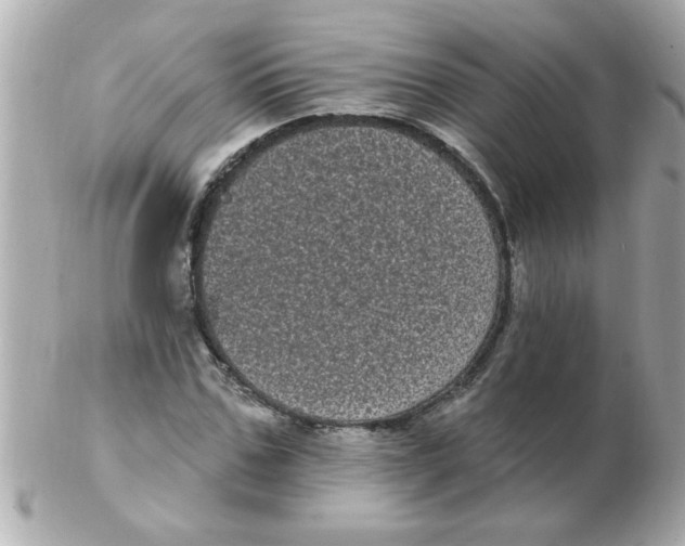 X0000102530971200808291816