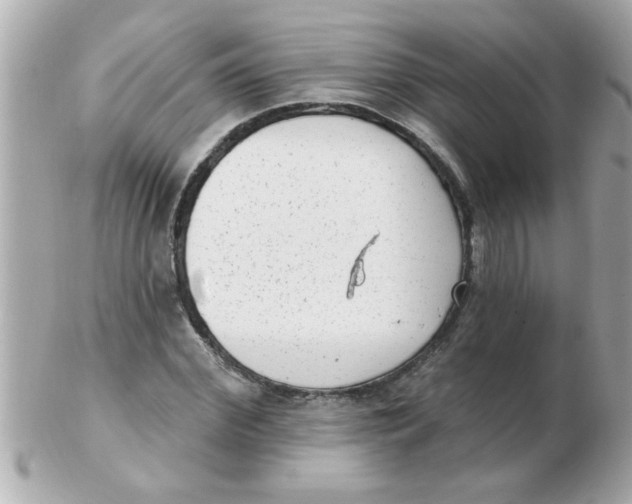 X0000102530972200808291816