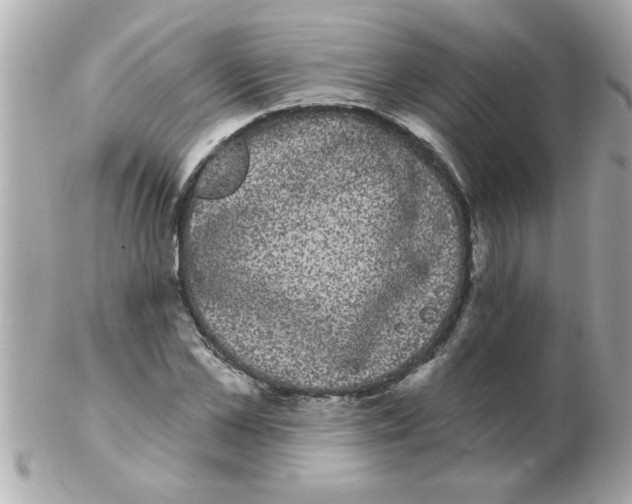 X0000102530973200808291816