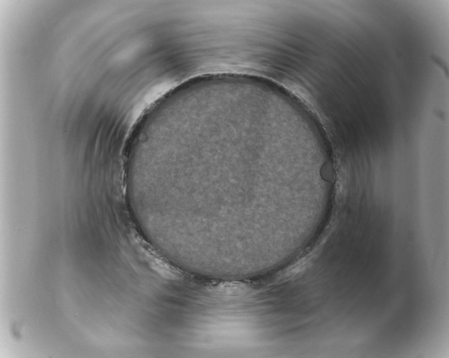 X0000102530974200808291816