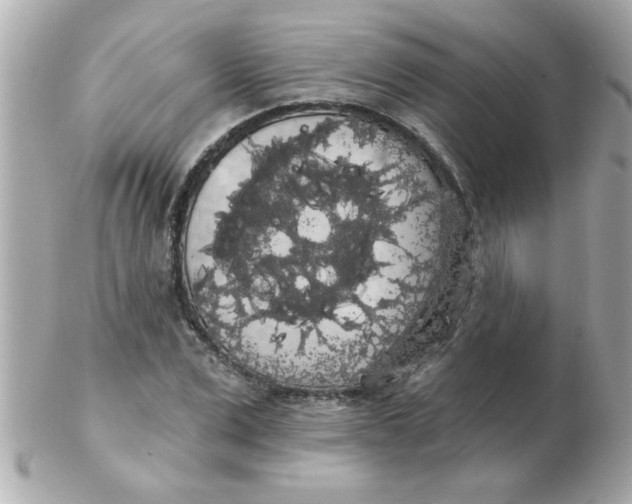 X0000102530975200808291816