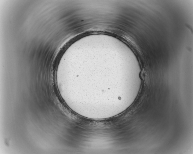 X0000102530976200808291816