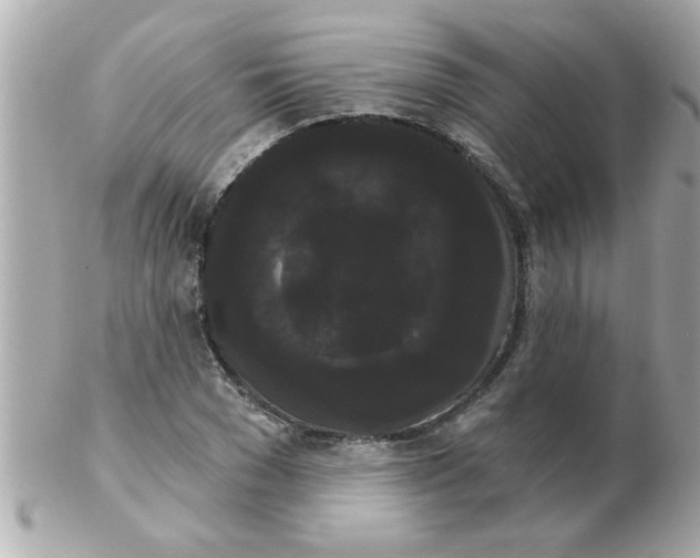 X0000102530977200808291816