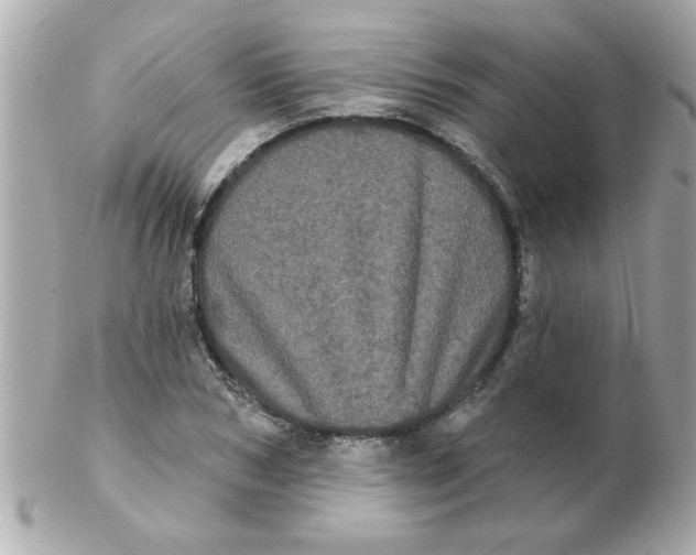 X0000102530978200808291816