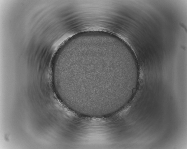 X0000102530979200808291816