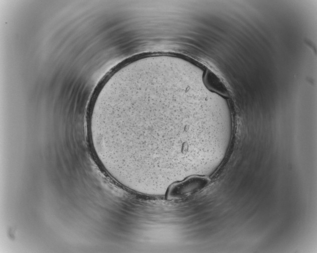 X0000102530980200808291816