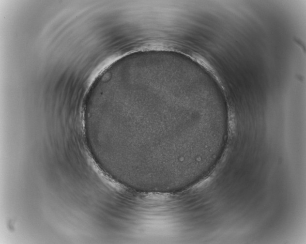 X0000102530981200808291816