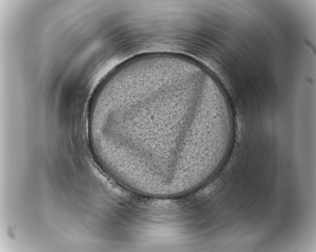 X0000102530982200808291816