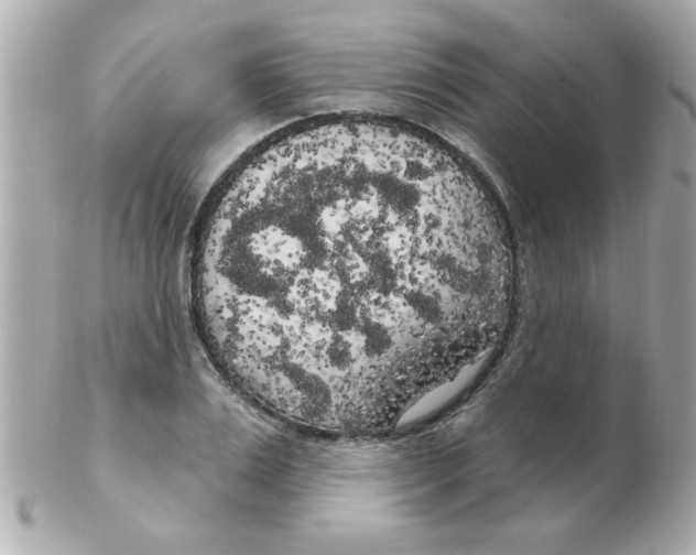 X0000102530983200808291816