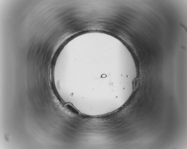 X0000102530984200808291816