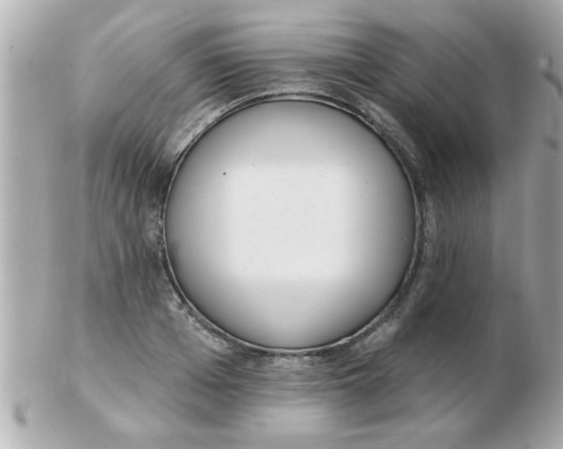 X0000102530985200808291816