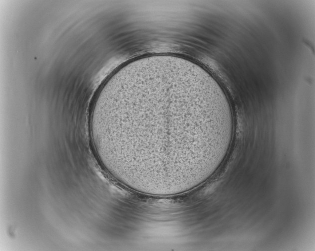 X0000102530986200808291816