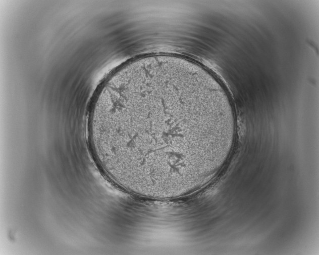 X0000102530987200808291816