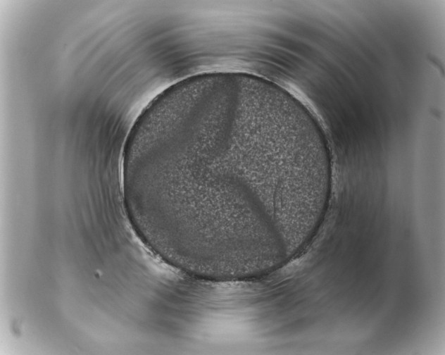 X0000102530988200808291816