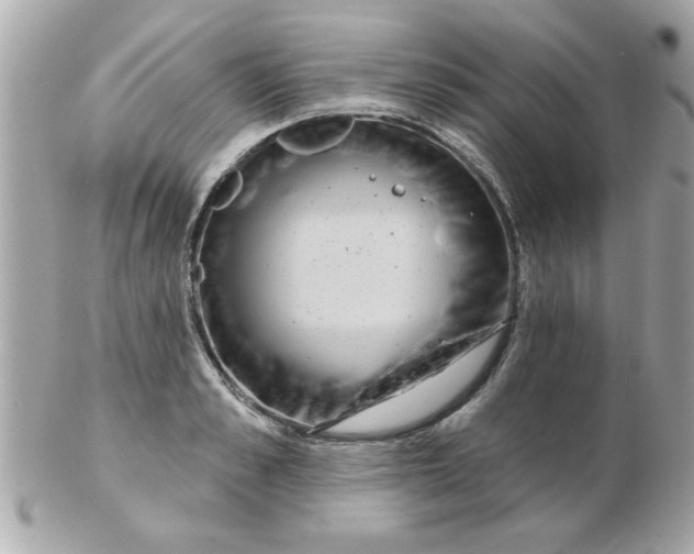 X0000102530989200808291816