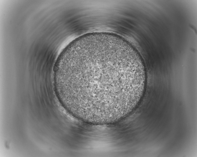 X0000102530990200808291816