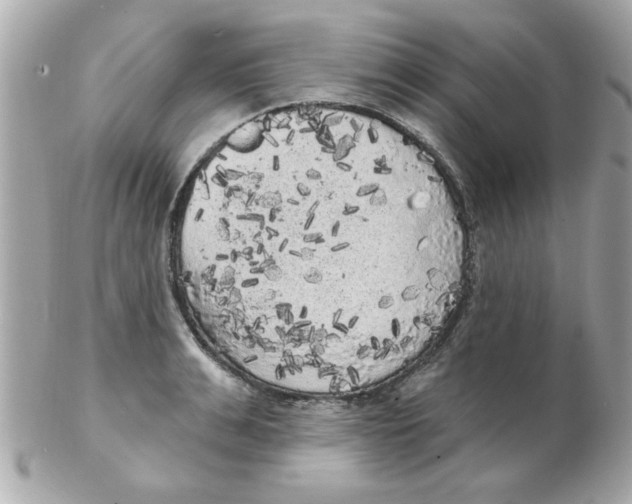 X0000102530991200808291816