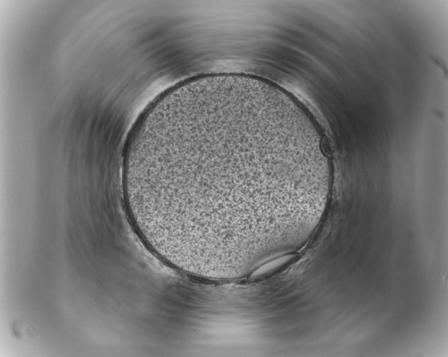 X0000102530992200808291816