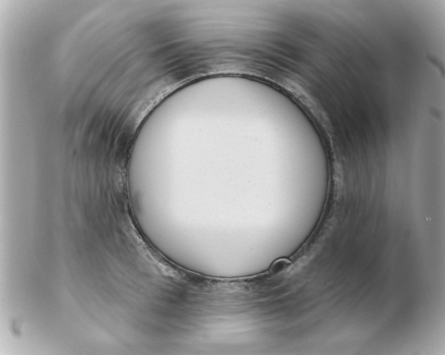 X0000102530993200808291816