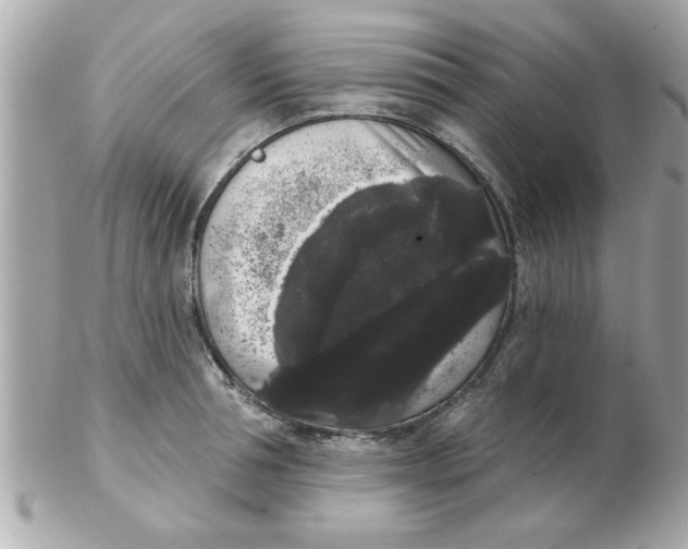 X0000102530994200808291816