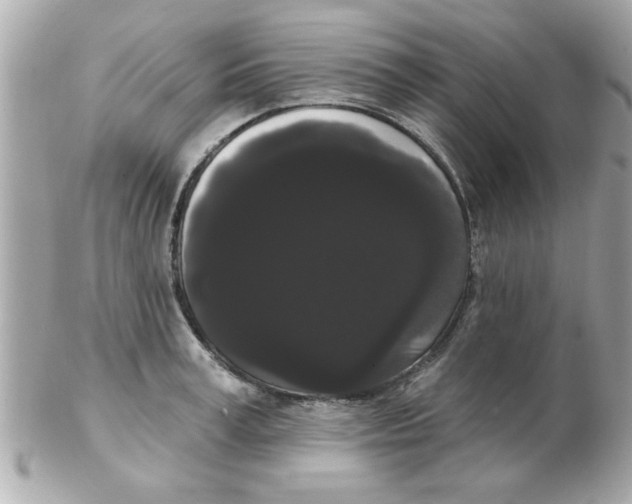 X0000102530995200808291816