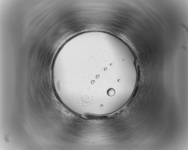 X0000102530996200808291816