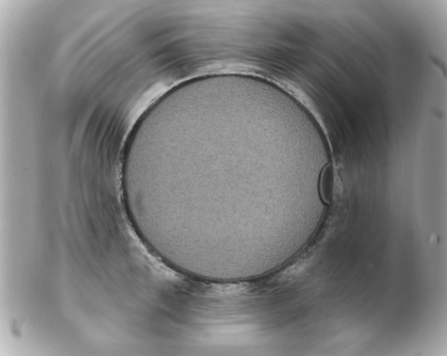 X0000102530997200808291816