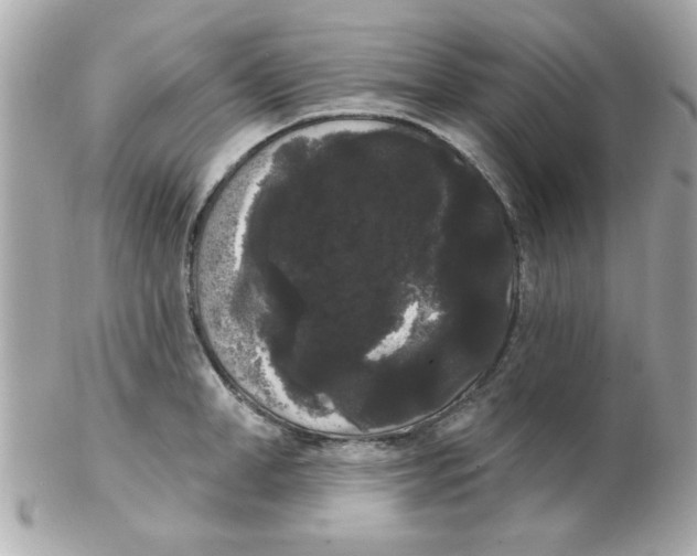 X0000102530998200808291816