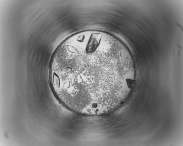 X0000102530999200808291816