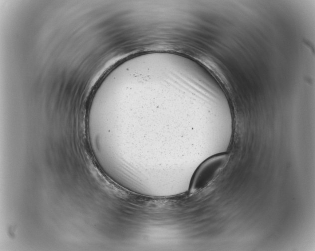 X0000102531000200808291816