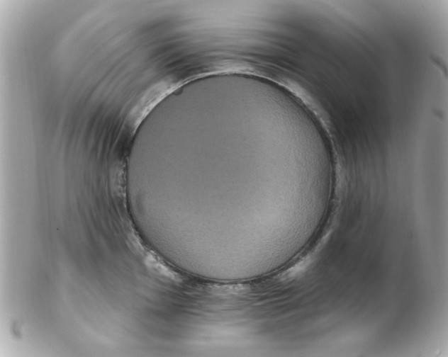 X0000102531001200808291816