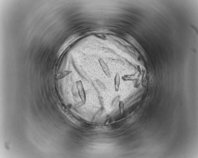 X0000102531002200808291816