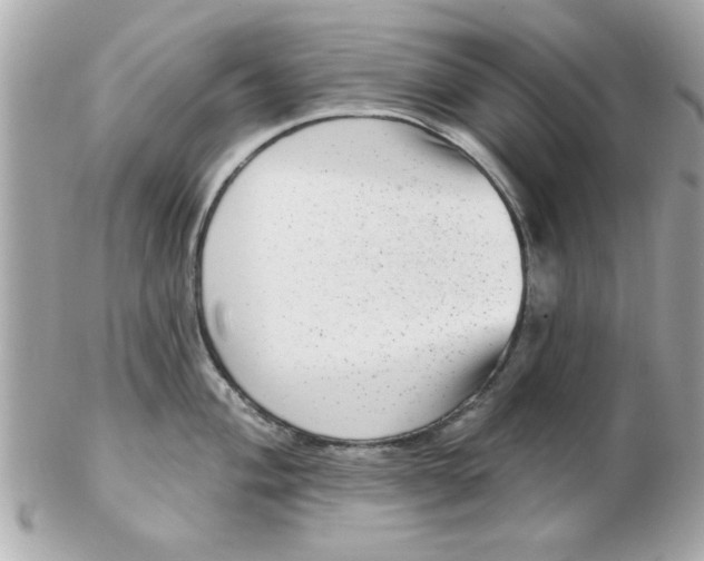 X0000102531004200808291816