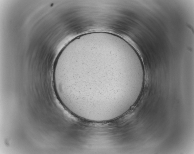 X0000102531005200808291816