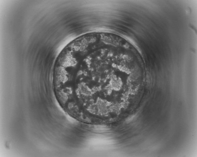 X0000102531007200808291816