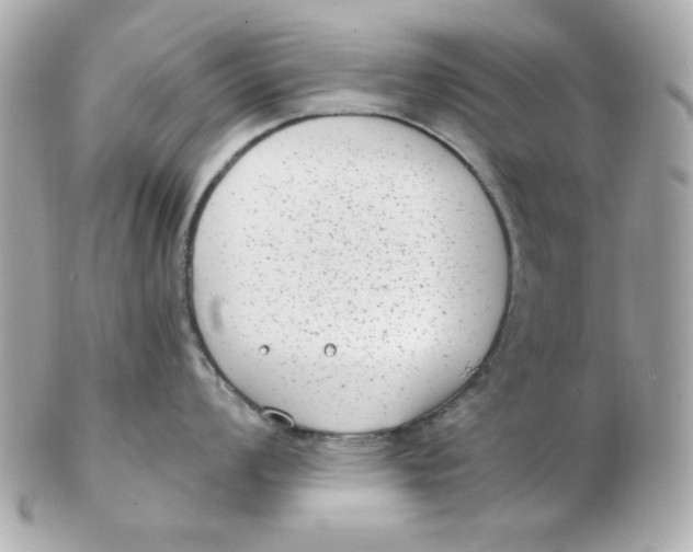 X0000102531008200808291816