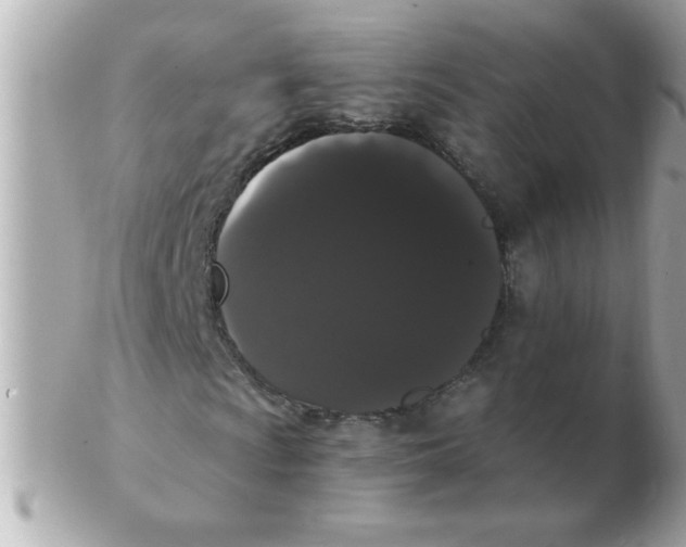 X0000102531009200808291815