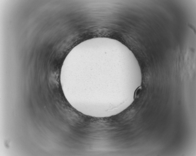 X0000102531010200808291815