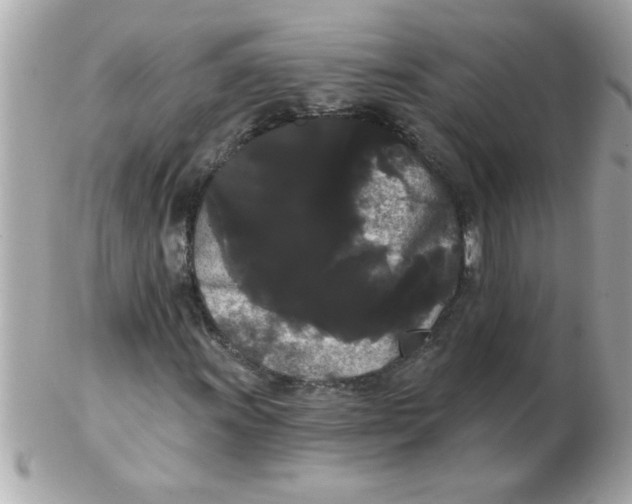 X0000102531011200808291815